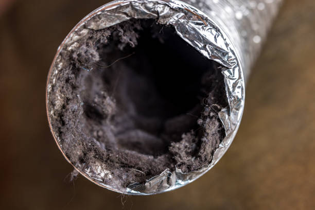Best Professional Duct Cleaning Services  in Oliver, PA